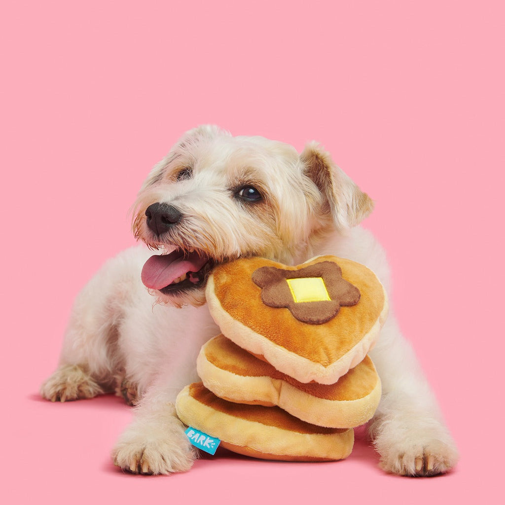 Love Stack Plush Tug Dog Toy