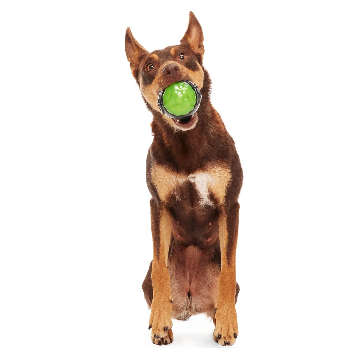 Gnawldron Super Chewer Durable Enrichment Dog Toy