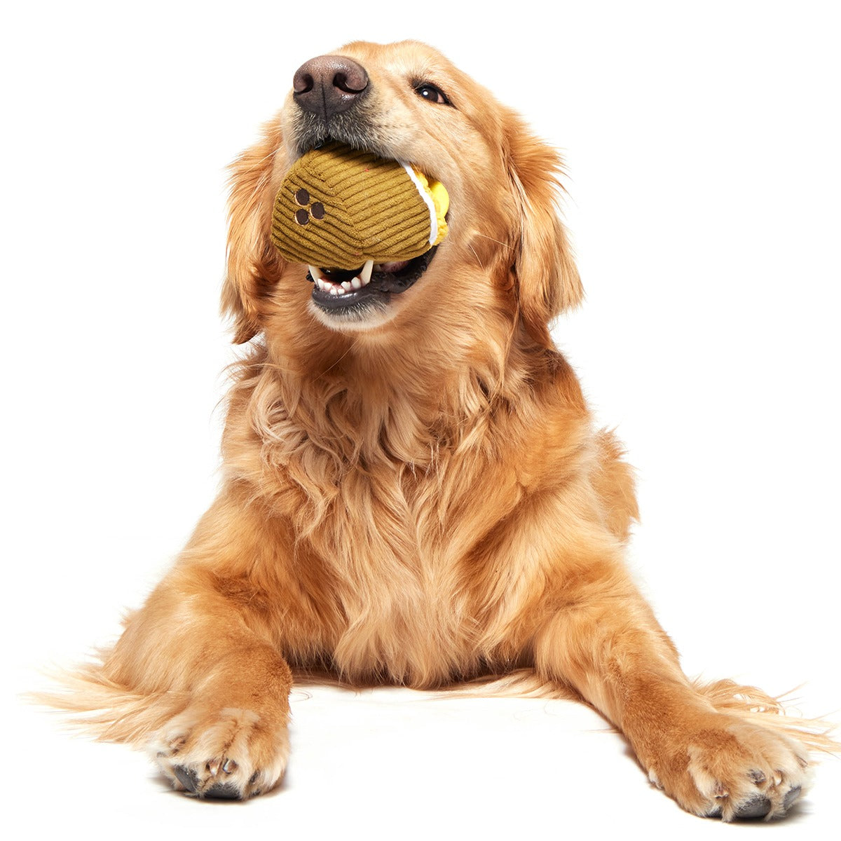 Coco-Mutt Cocktail Super Chewer Durable 2-in-1 + Fetch + Enrichment Dog Toy