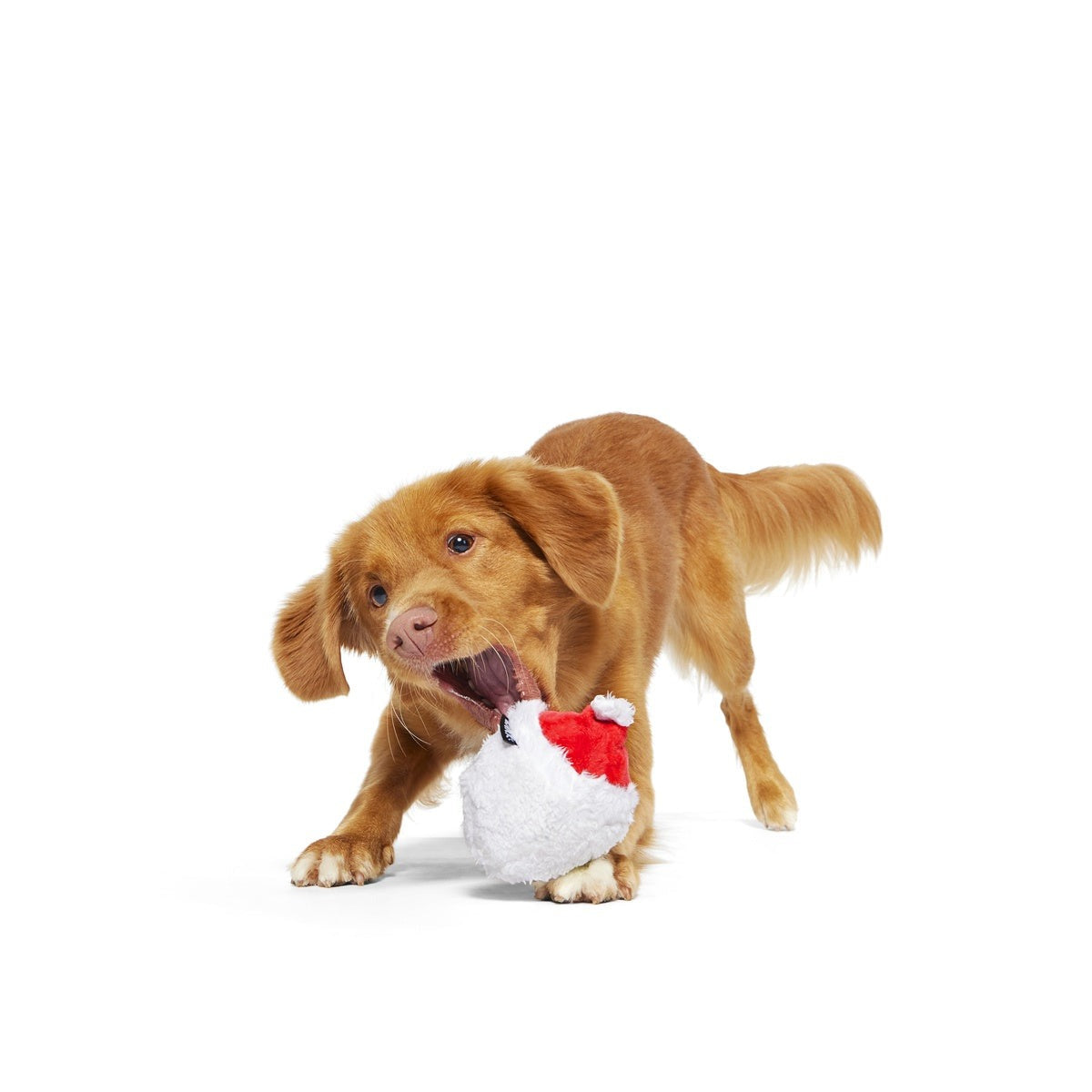 Secret Santa Durable Super Chewer 2-in-1 Rip and Reveal Dog Toy