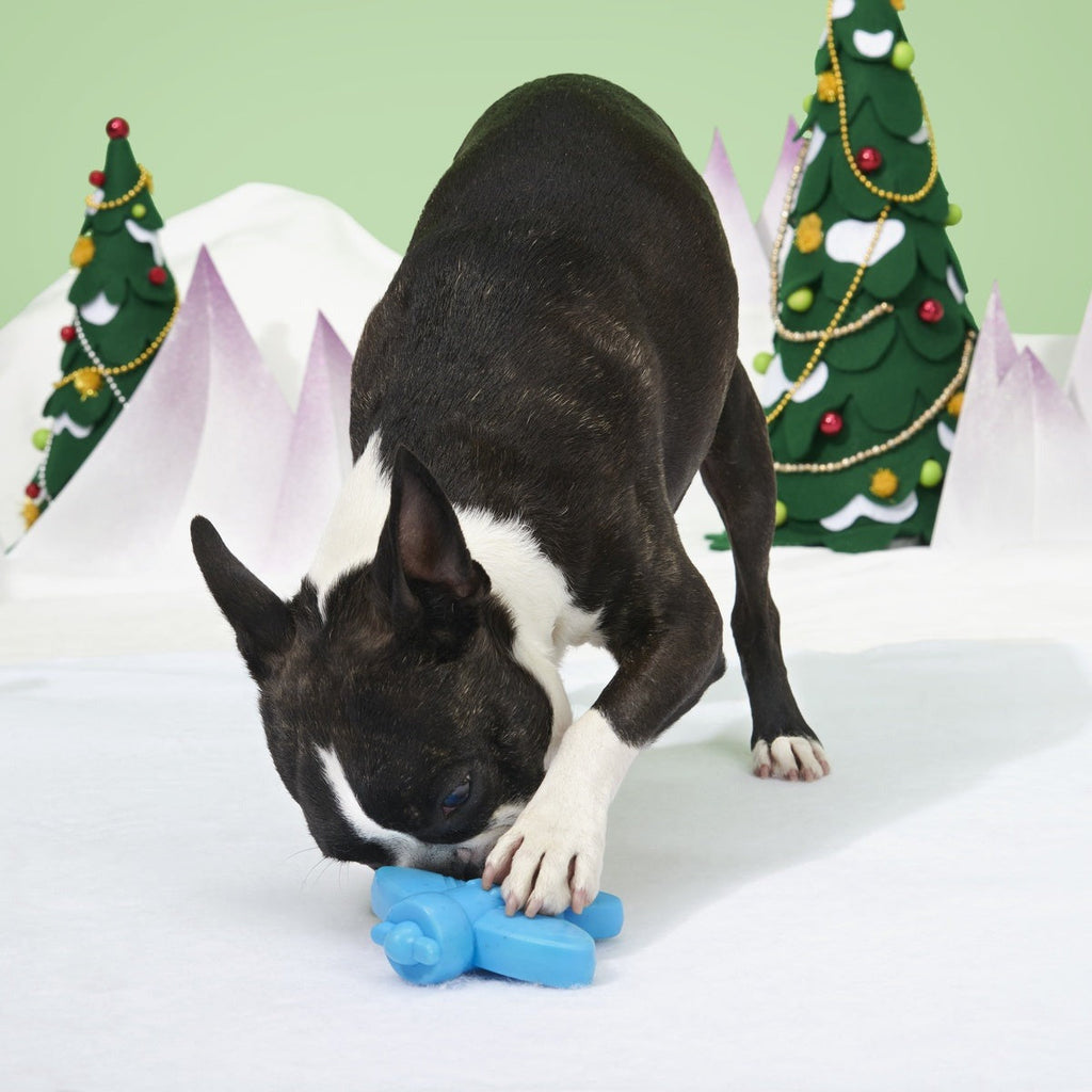 Rudolph® Holiday Super Chewer Gift Box