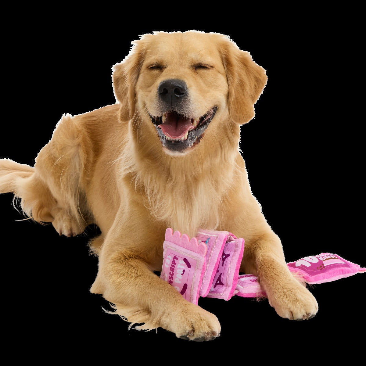 Puppy Love Coupons Plush Tug Dog Toy