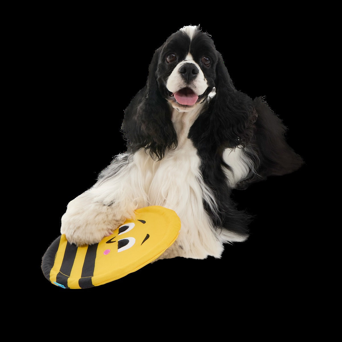 Fritz Bee Plush Fetch Dog Toy