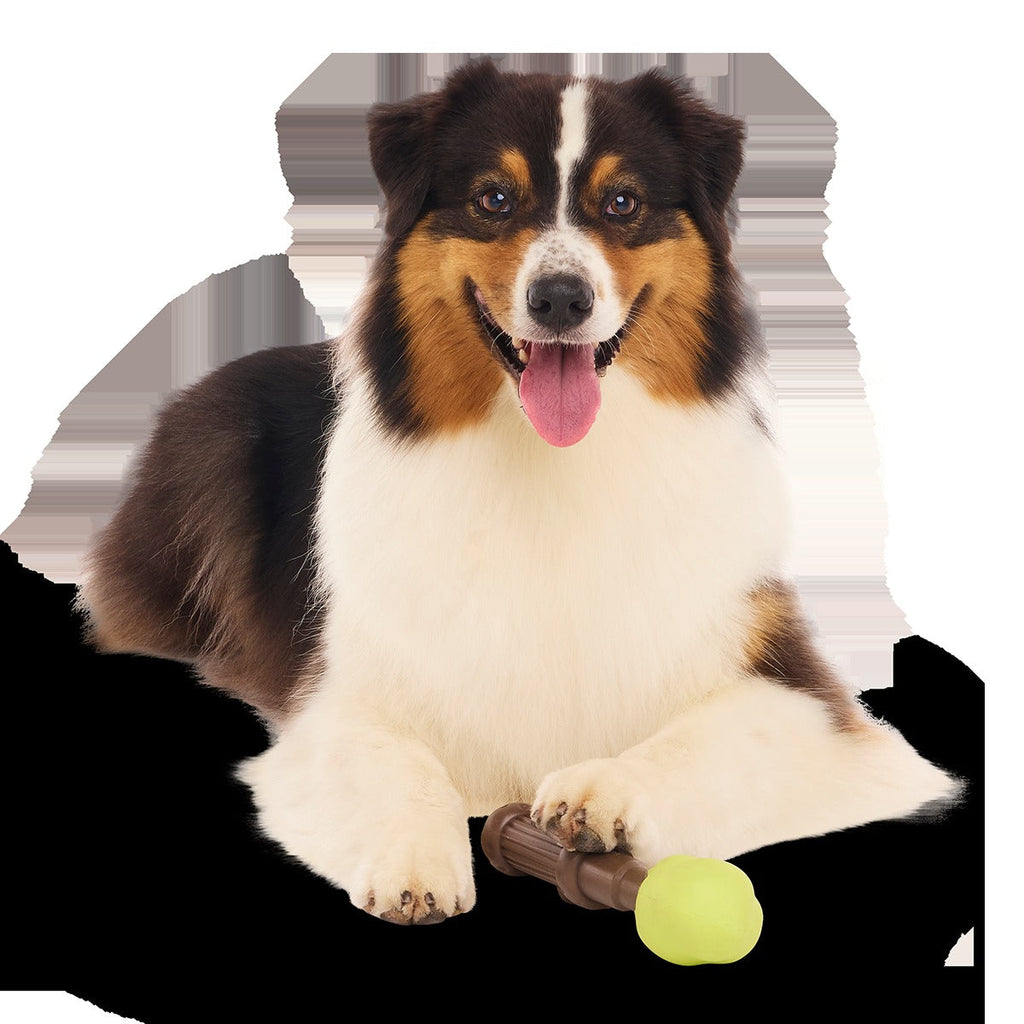 Harry's BogeyTM Wand Super Chewer Durable Gnaw Dog Toy