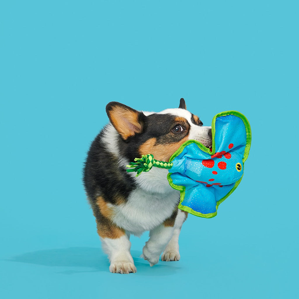 Manny Ray Plush Tug Dog Toy