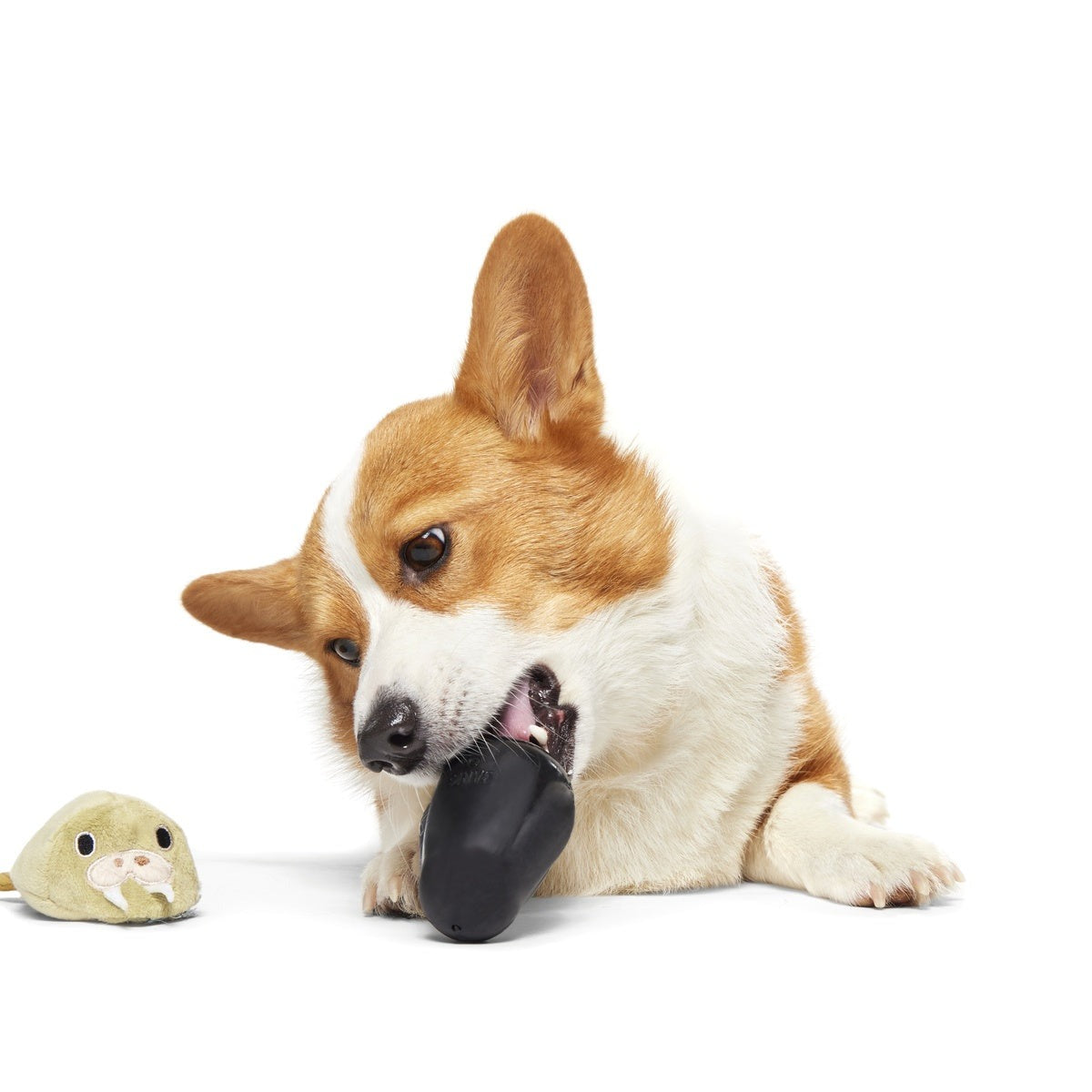 Full Belly Wally Super Chewer Durable 2-in-1 Dog Toy
