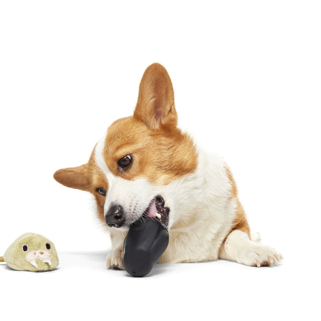 Full Belly Wally Super Chewer Durable 2-in-1 Dog Toy