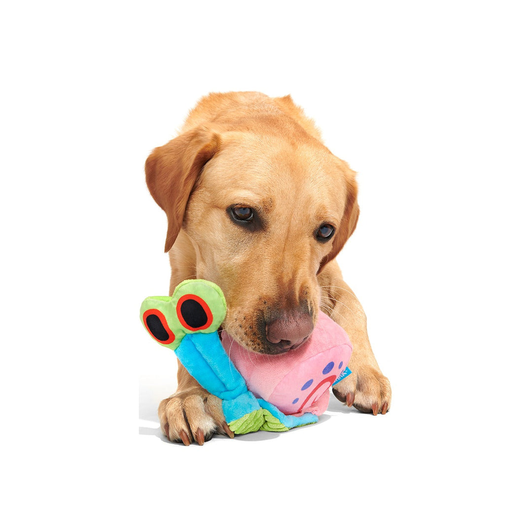Gary the Snail Plush Tug Dog Toy