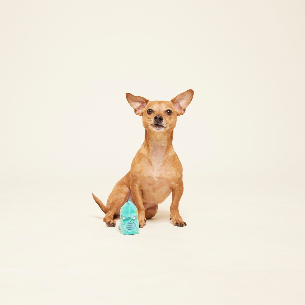 Chomposaurus Super Chewer Durable 2-in-1 Dog Toy