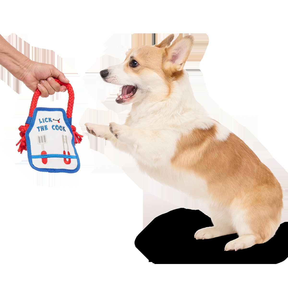 Grrrill Champ Apron Plush Tug + Wearable Dog Toy