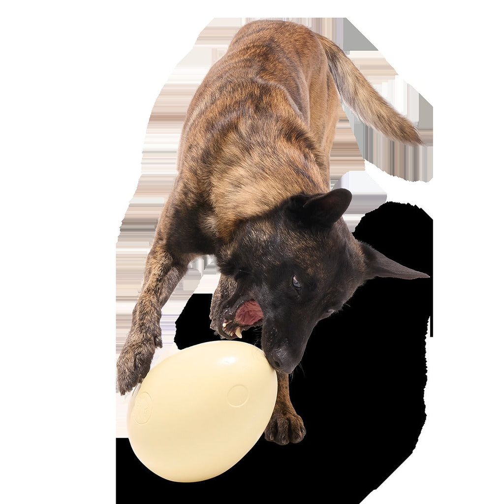 Dinosaur Egg Super Chewer Durable Extra-Large + Fetch Dog Toy