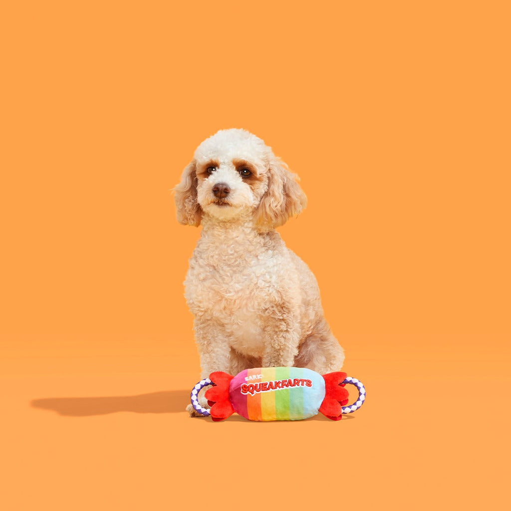 SqueakFarts Candy Plush Tug Dog Toy