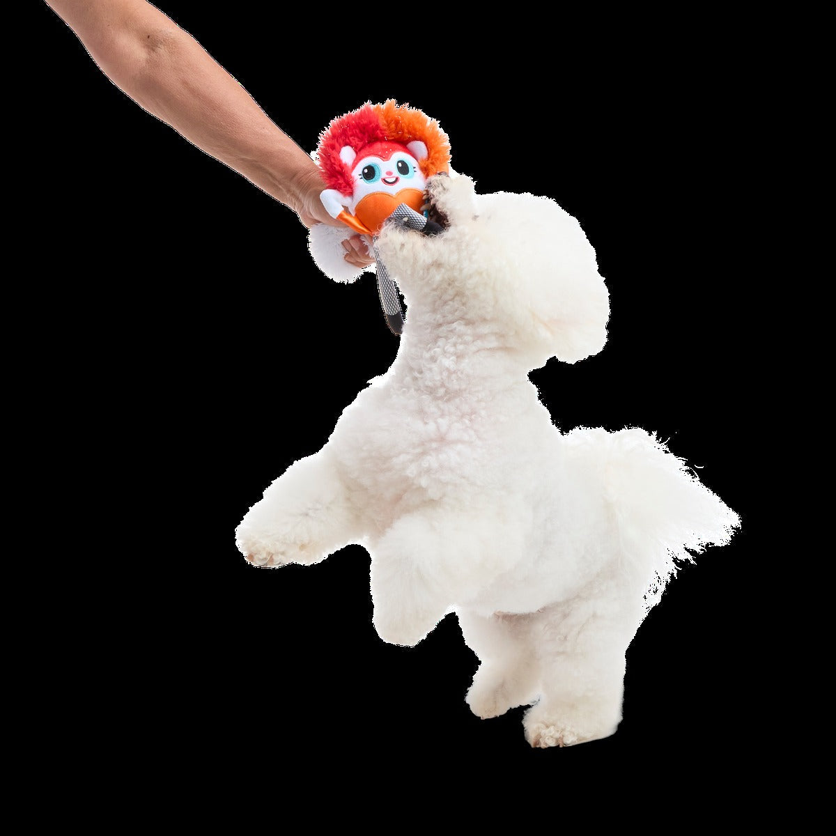 Showsquirrel Plush Tug Dog Toy