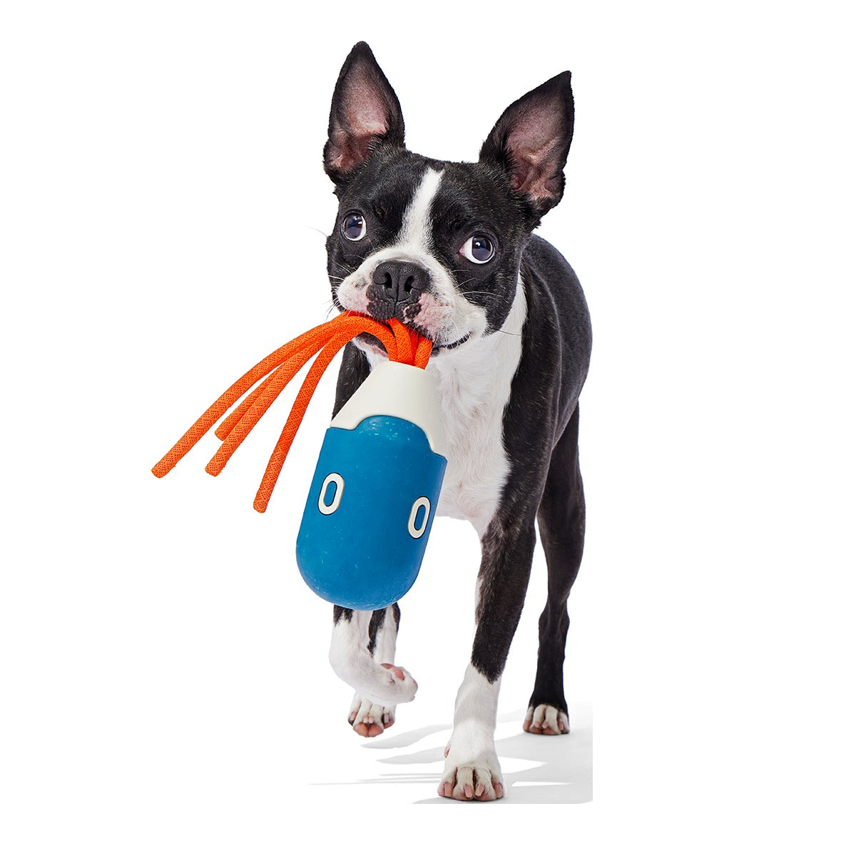 Squidwhip Super Chewer Durable Tug Dog Toy