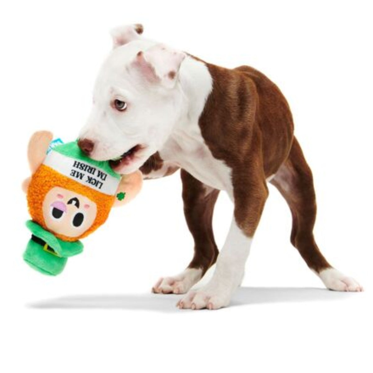 Lick Me Leprechaun Plush 2-in-1 Rip and Reveal + Gnaw Dog Toy