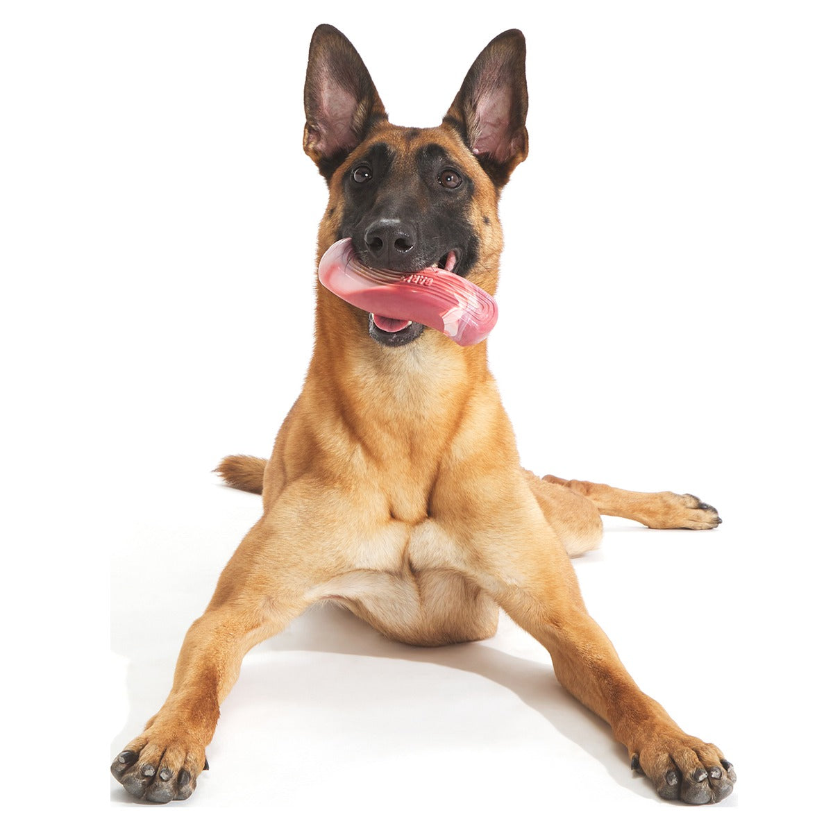 Tough Break Bacon Super Chewer Durable Gnaw Dog Toy