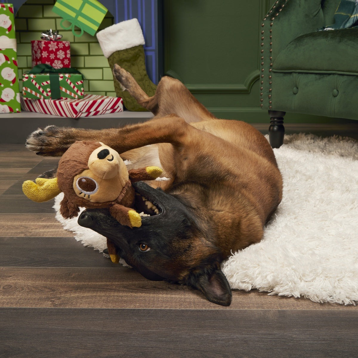 Splootolph Plush Tug Dog Toy