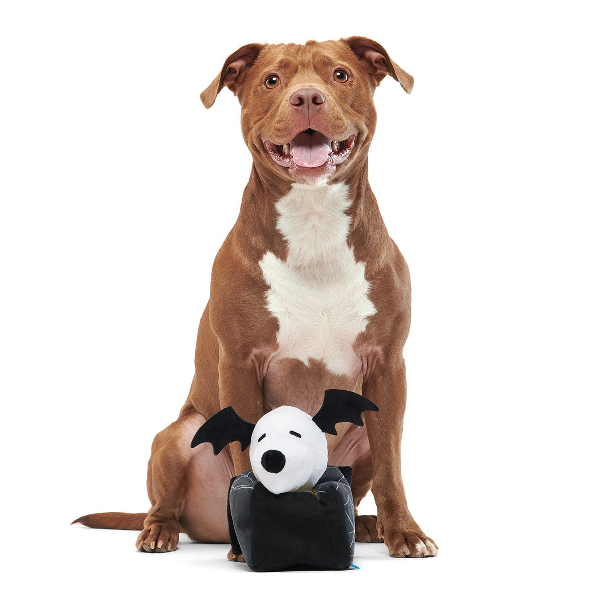 Snoopy's Haunted Doghouse Plush Multi-Part + Enrichment Dog Toy