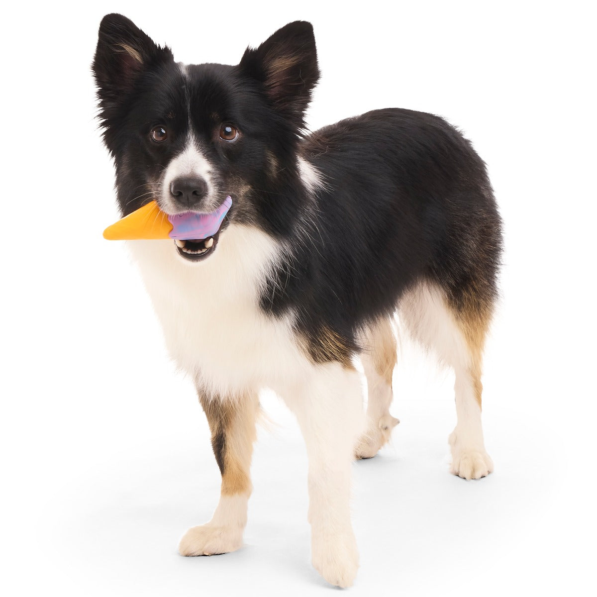 Buffberry Cone Super Chewer Durable Gnaw Dog Toy