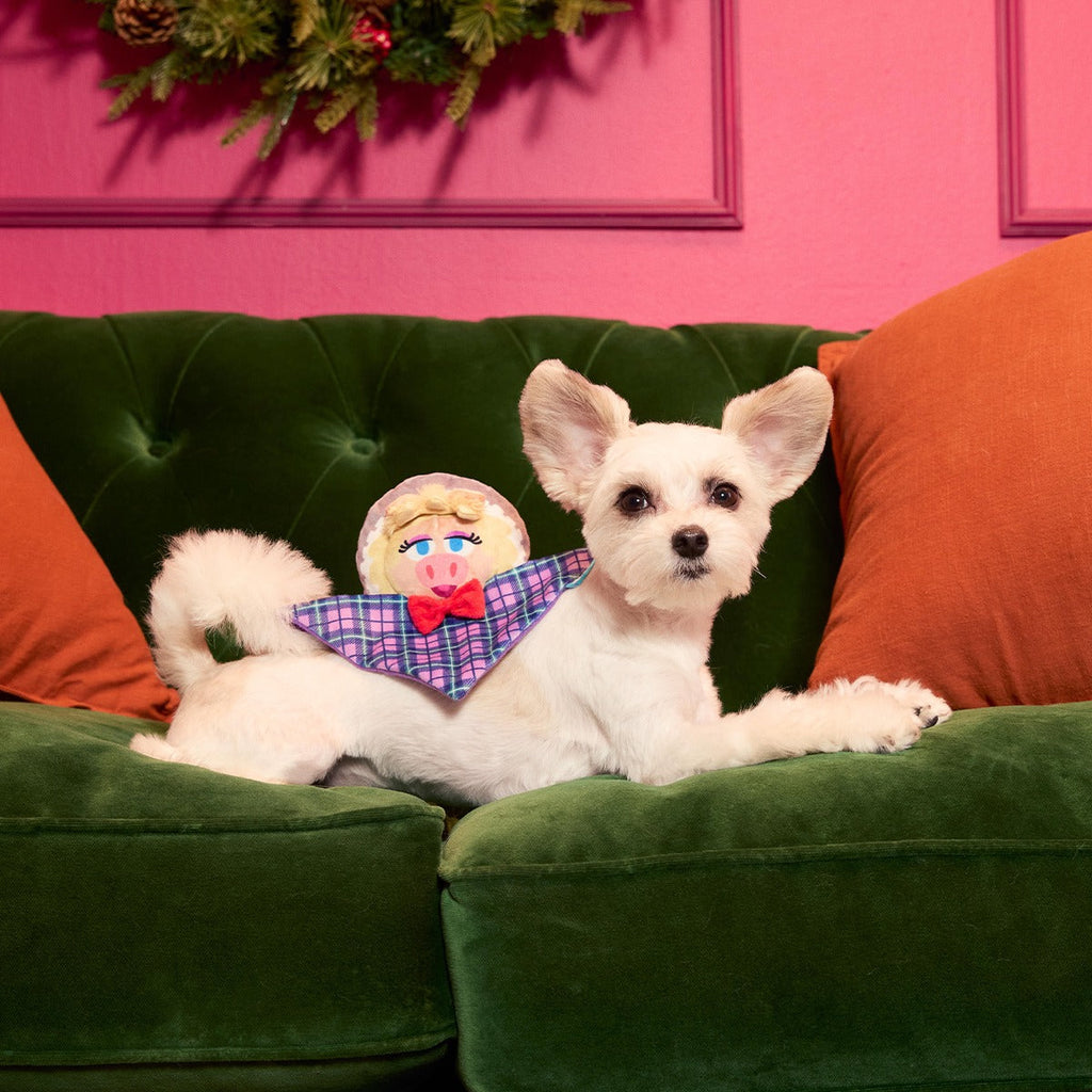 Miss Piggy as “Emily Catch-it” Plush Tug Dog Toy