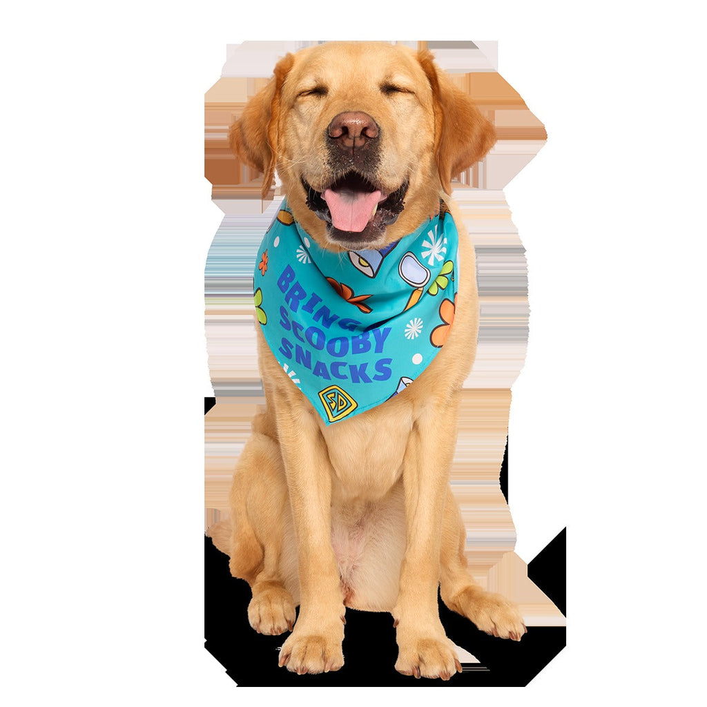 ScoobyTM Snacks Dog Bandana