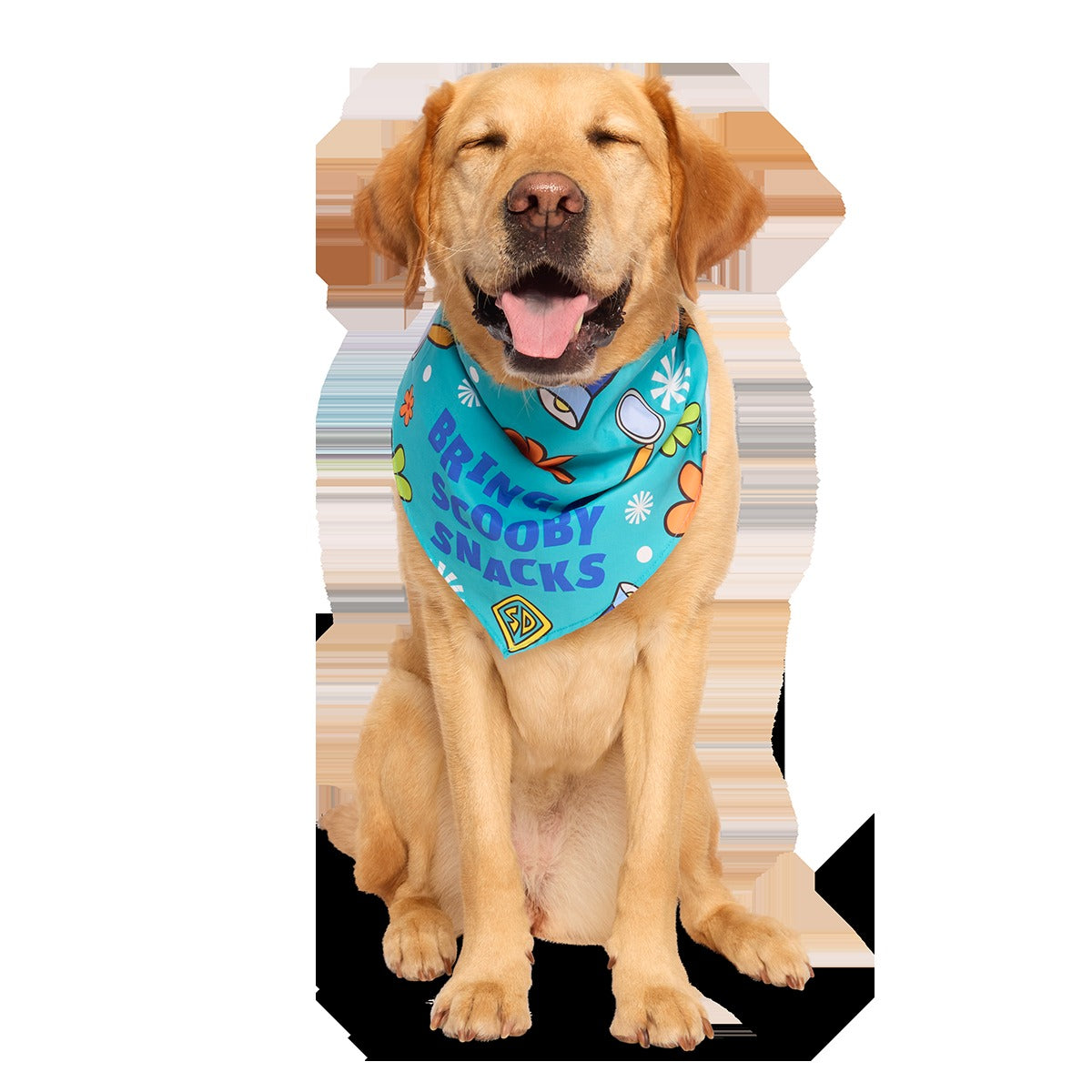 ScoobyTM Snacks Dog Bandana