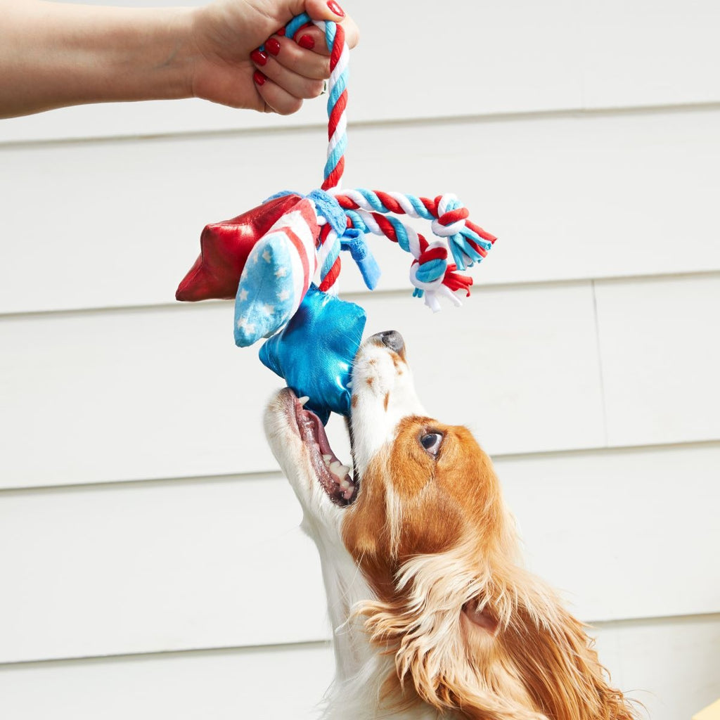 Star Spangles Plush Multi-Part + Tug Dog Toy