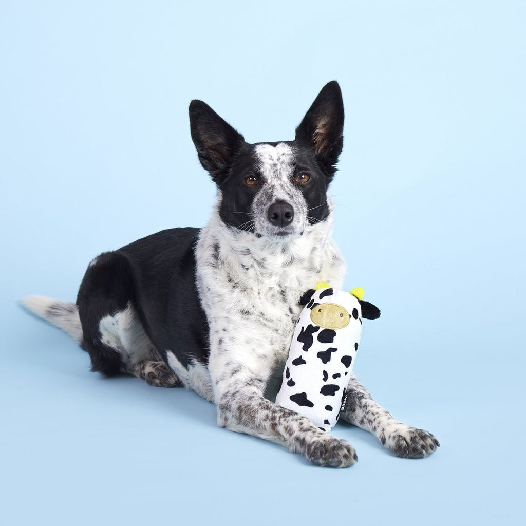 Mad Cow Super Chewer Durable 2-in-1 Dog Toy