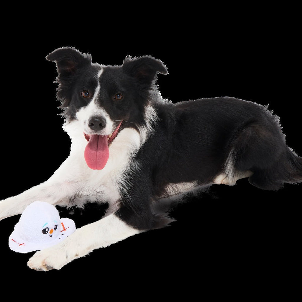 Slushy The Snowman Durable Super Chewer 2-in-1 Rip and Reveal Dog Toy