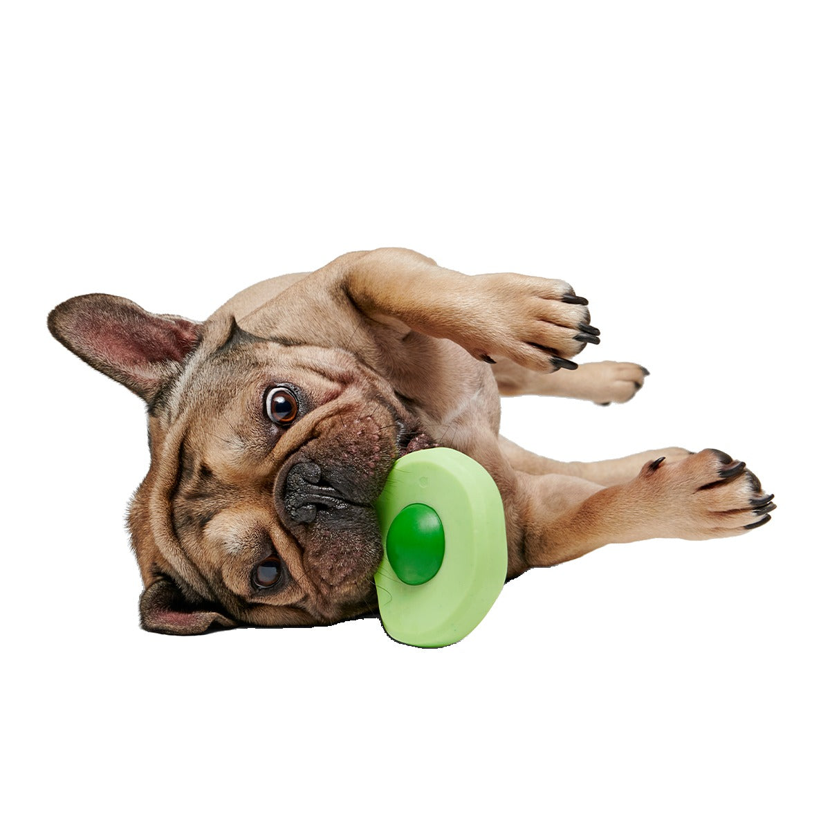 Green Egg Super Chewer Durable Gnaw Dog Toy