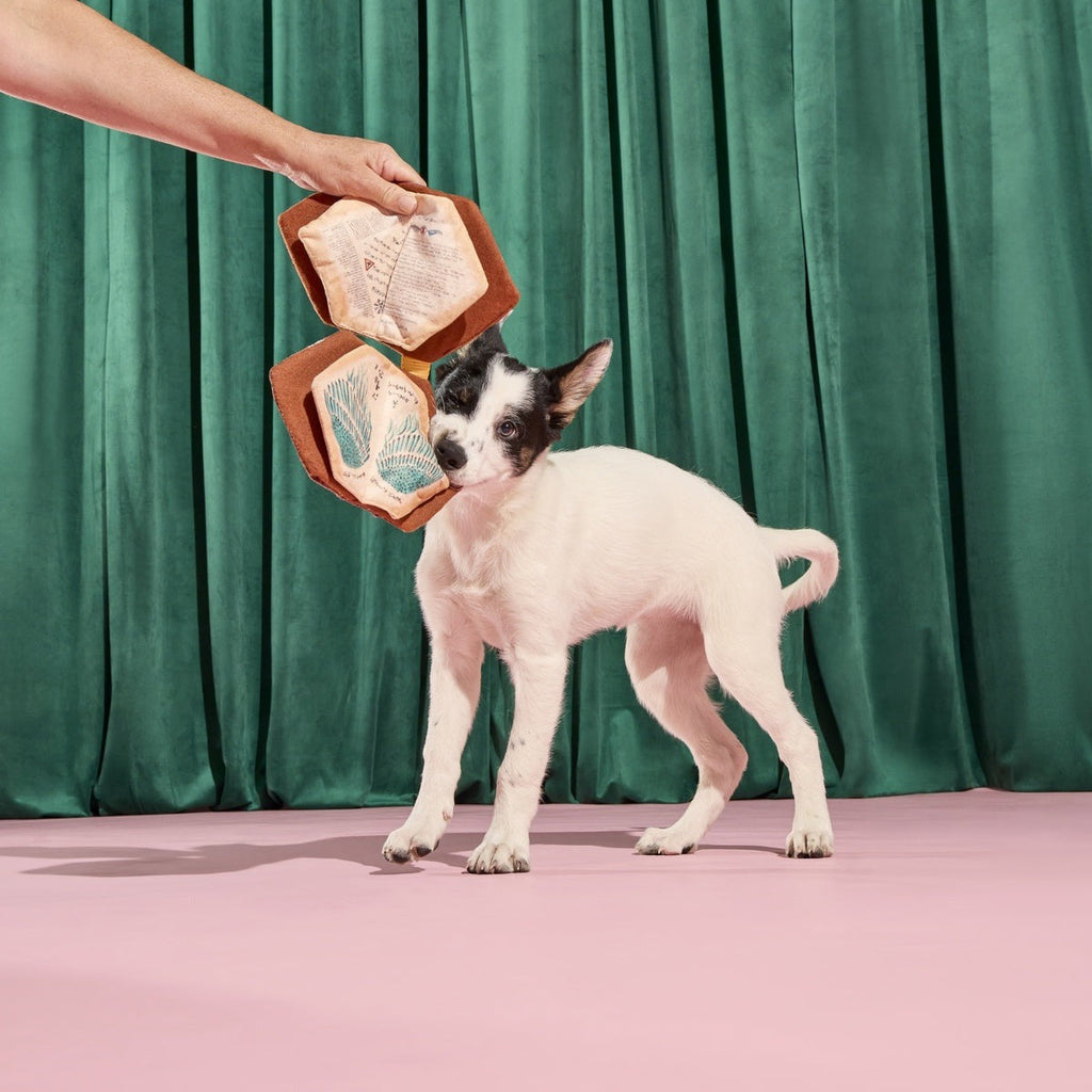 The Grrr-immerie Plush Enrichment Dog Toy