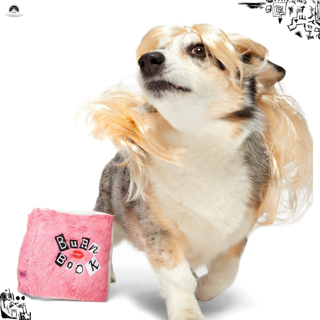 Burn Book Plush Tug + Enrichment Dog Toy