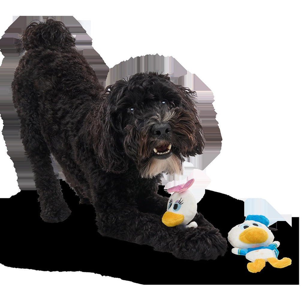 Ducks of a Feather Plush Multi-Part Dog Toy