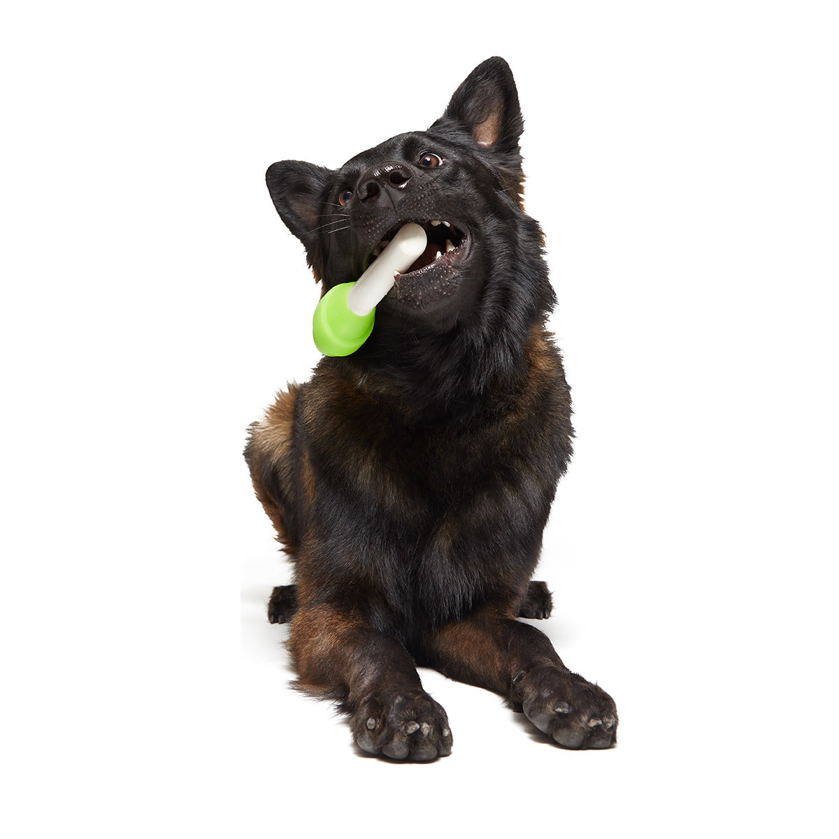 Ghoulie Pop Super Chewer Durable Gnaw Dog Toy