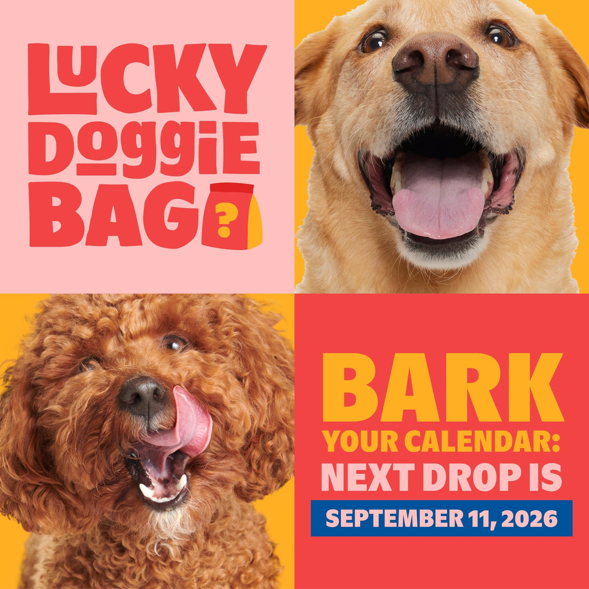 Lucky Doggie Bag