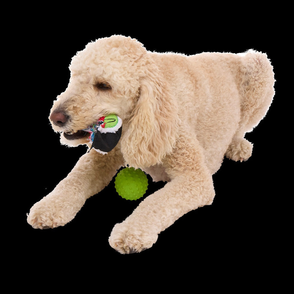 Sushi Roller Super Chewer Durable 2-in-1 + Fetch Dog Toy