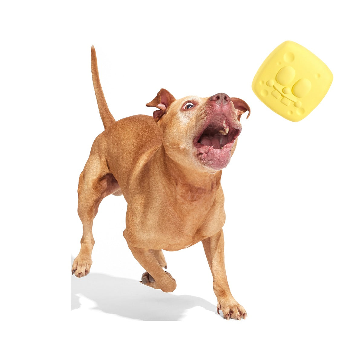 Super Chewer SpongeBob Bundle