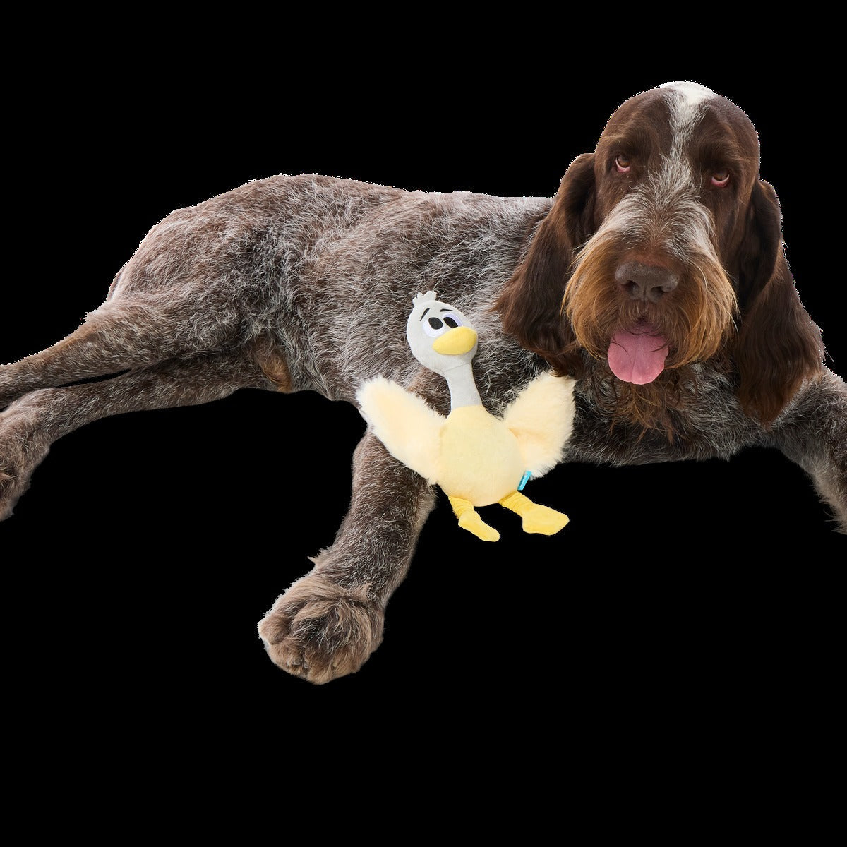 Lucy Goosey Plush Tug Dog Toy