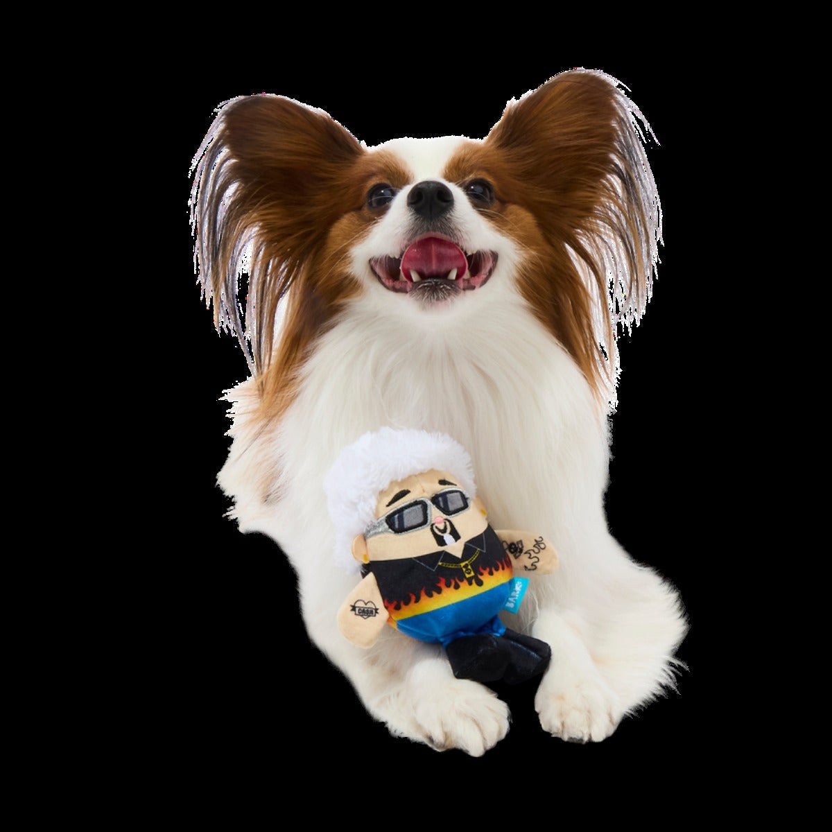 Fetch Fieri Plush Tug Dog Toy