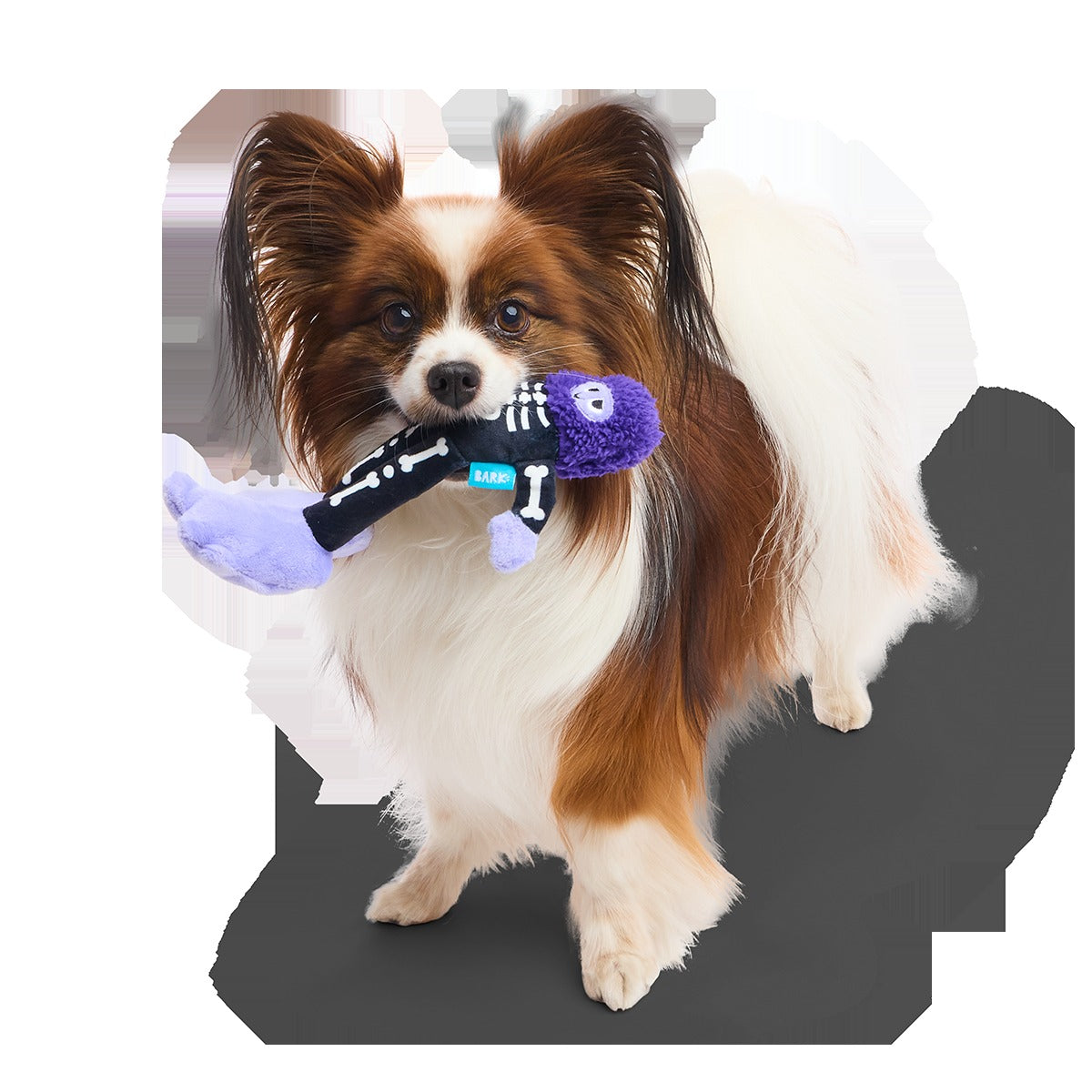 Boney Bigfoot Plush Tug Dog Toy
