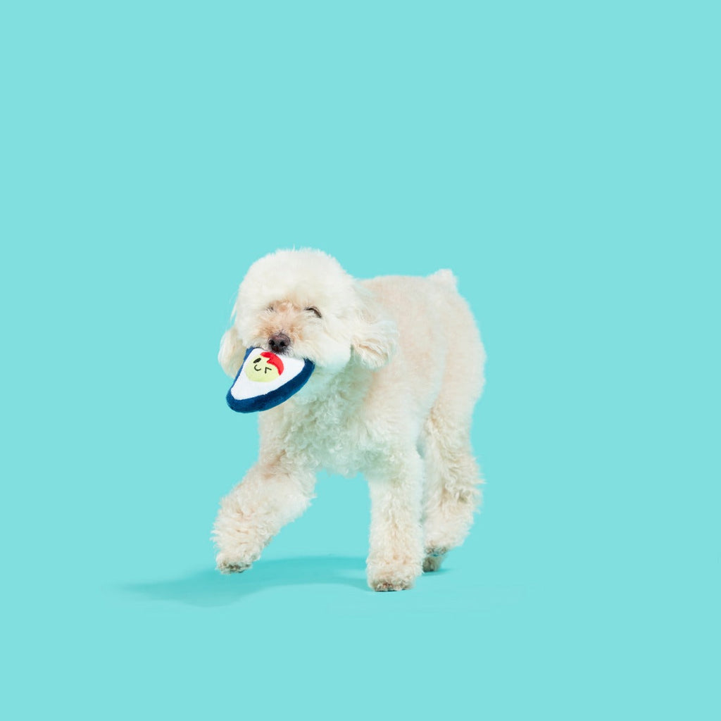 Shuck N' Chuck Toysters Plush Multi-Part Dog Toy