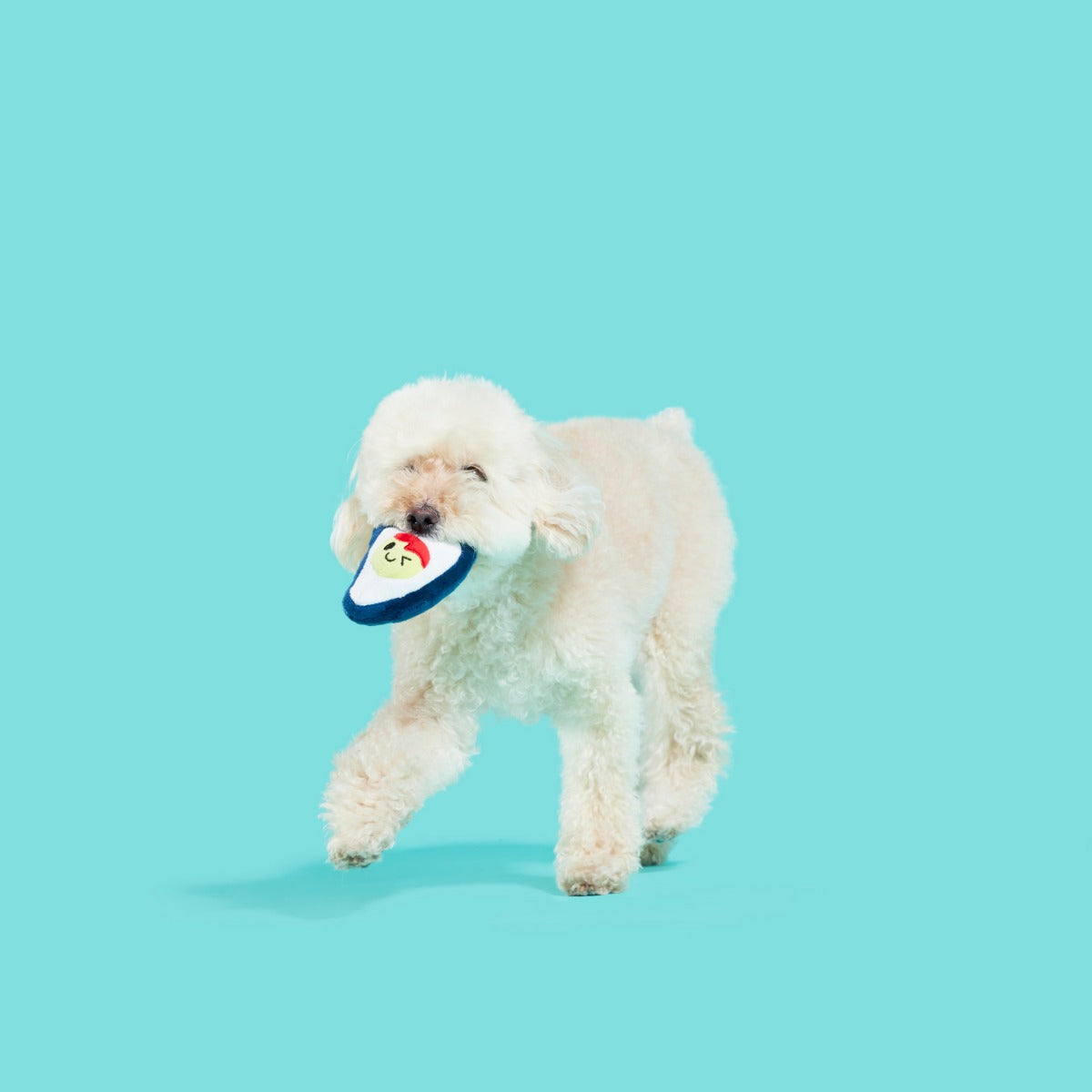 Shuck N' Chuck Toysters Plush Multi-Part Dog Toy