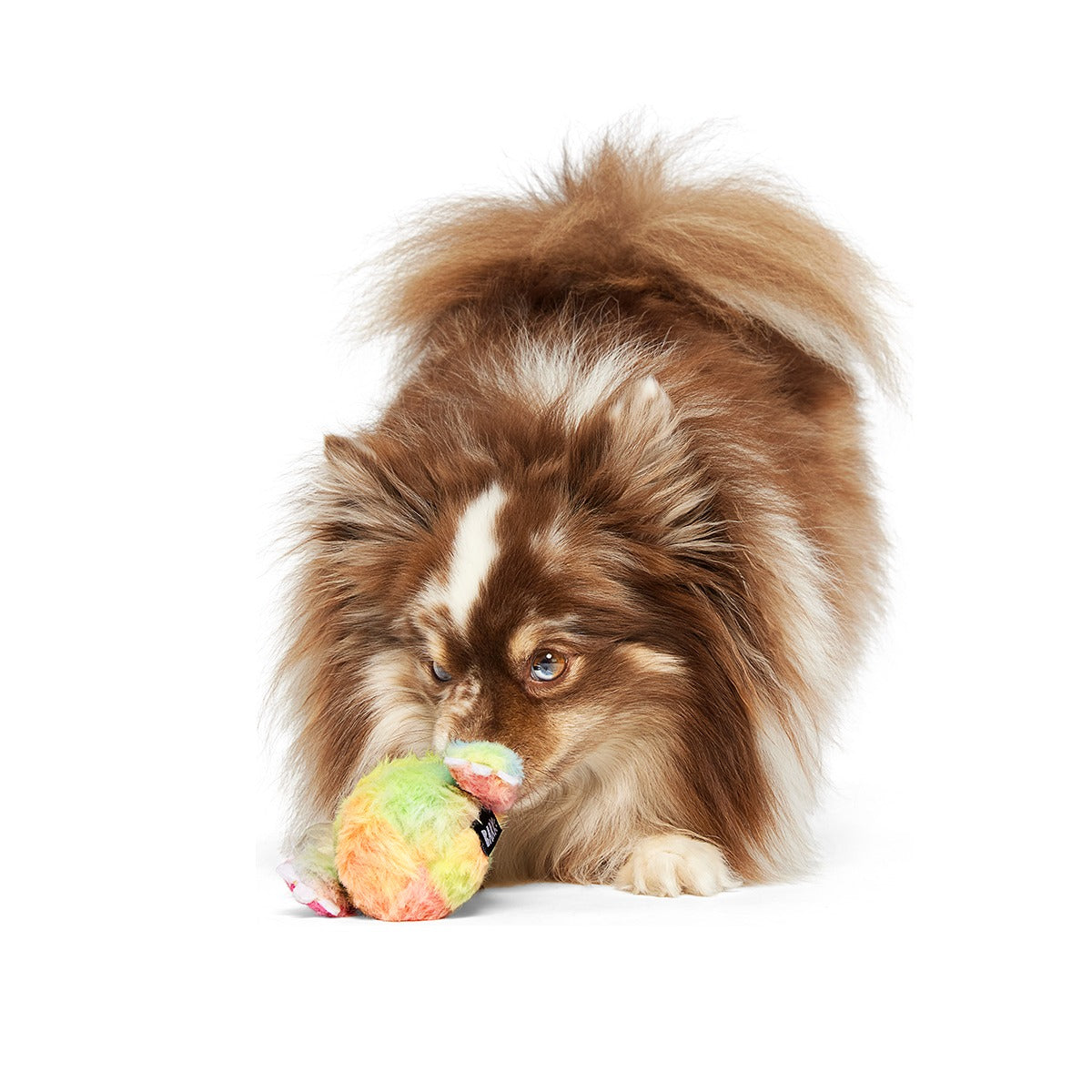 Grateful Ted Super Chewer Durable 2-in-1 + Tug Dog Toy