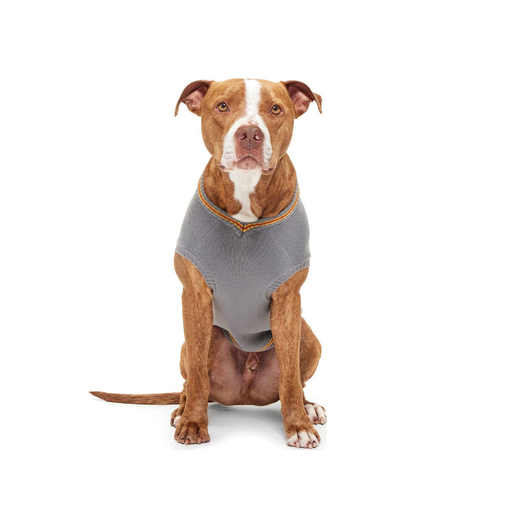 HARRY POTTERTM House Dog Sweater