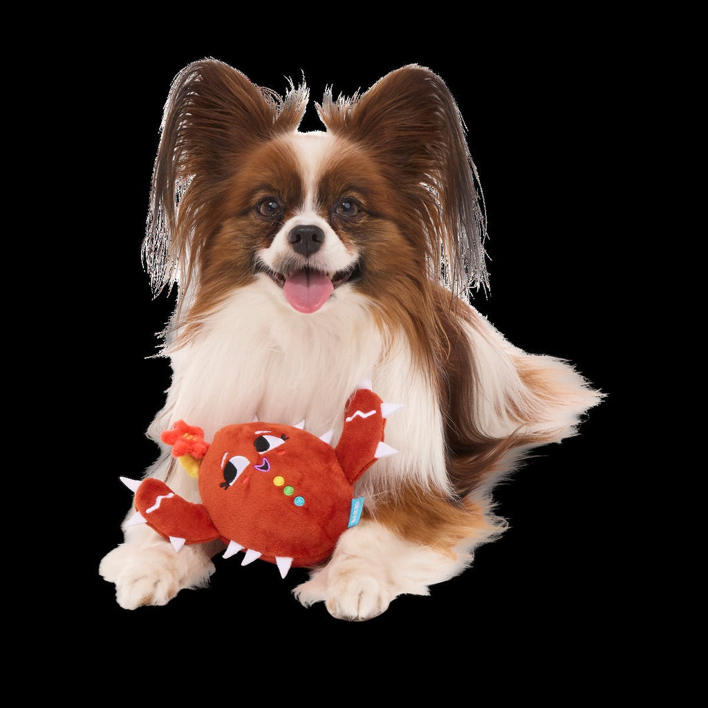 Consuela the Cookie Cactus Plush 2-in-1 Rip and Reveal Dog Toy