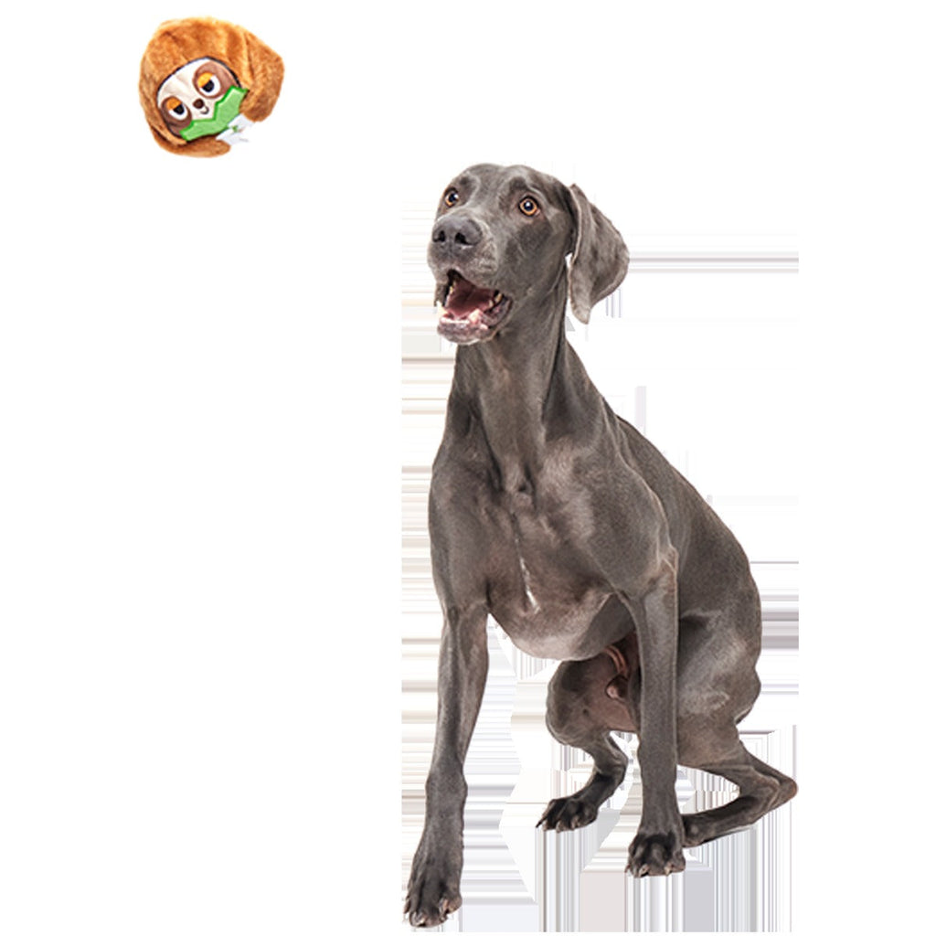 Sonny the Sloth Super Chewer Durable 2-in-1 + Fetch Dog Toy