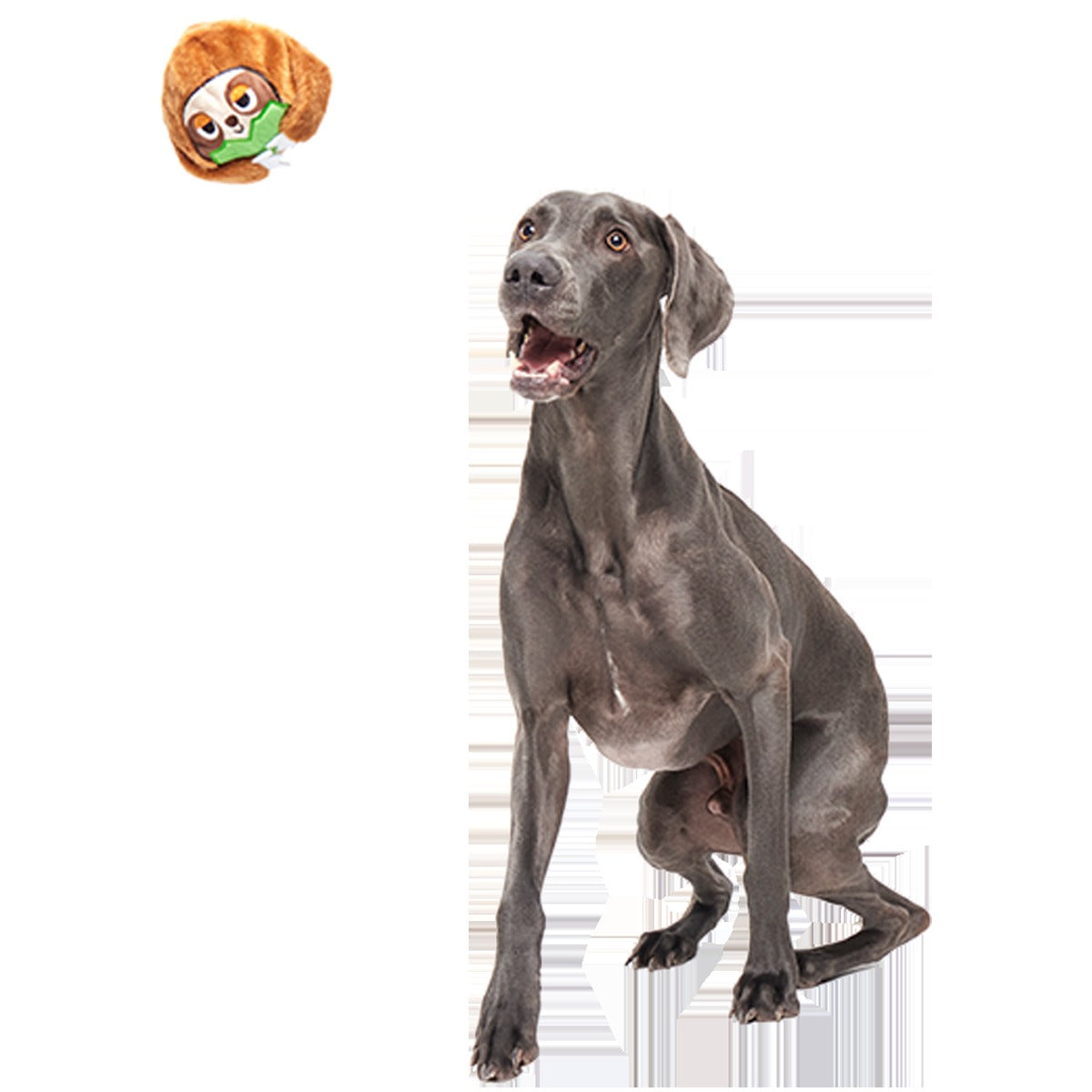 Sonny the Sloth Super Chewer Durable 2-in-1 + Fetch Dog Toy