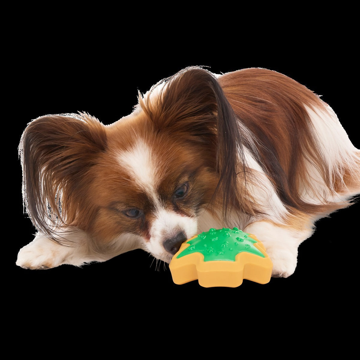 Hard-Baked Sugrrrr Cookie Super Chewer Durable Gnaw + Enrichment Dog Toy
