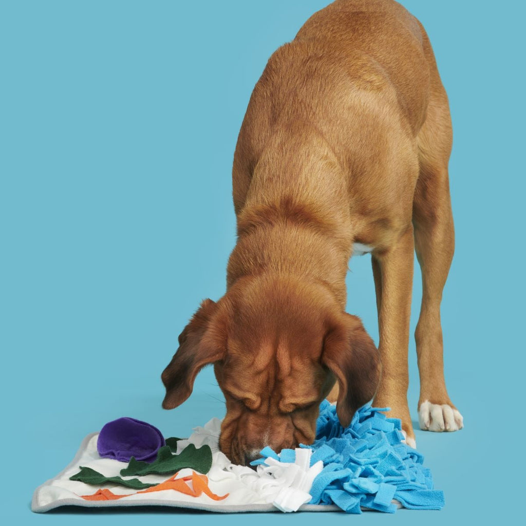 Beach Snuffle Mat Plush Enrichment Dog Toy