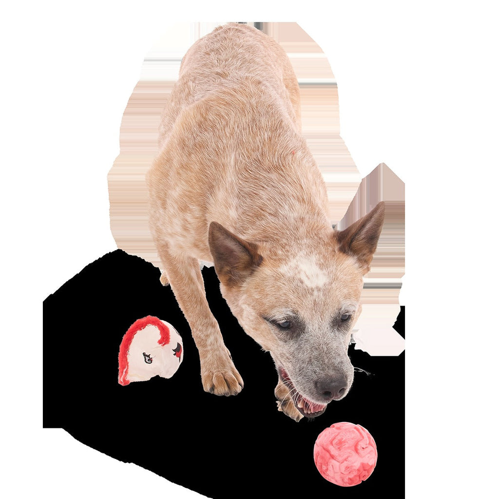 Dead Head Super Chewer Durable 2-in-1 + Fetch Dog Toy